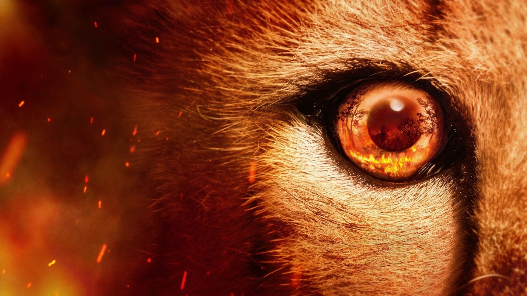 Predators 1. Sezon 5. Bölüm izle